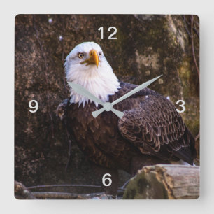 Bald Eagle Vierkante Klok