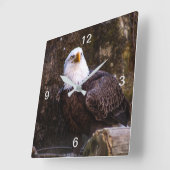 Bald Eagle Vierkante Klok (Hoek)