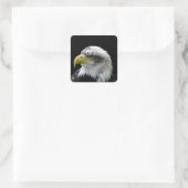 Bald Eagle Vierkante Sticker (Tas)