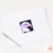 Bald Eagle Vierkante Sticker (Envelop)