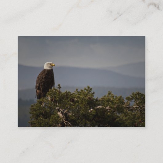 Bald Eagle - Visitekaartje (Voorkant)