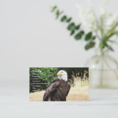 Bald Eagle. Visitekaartje (Staand voorkant)