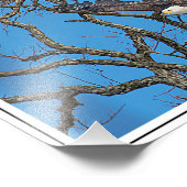 Bald Eagle vliegt Foto Afdruk (Hoek)