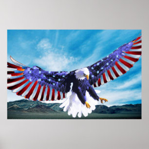 Bald Eagle vliegt in de lucht met een Amerikaanse Poster