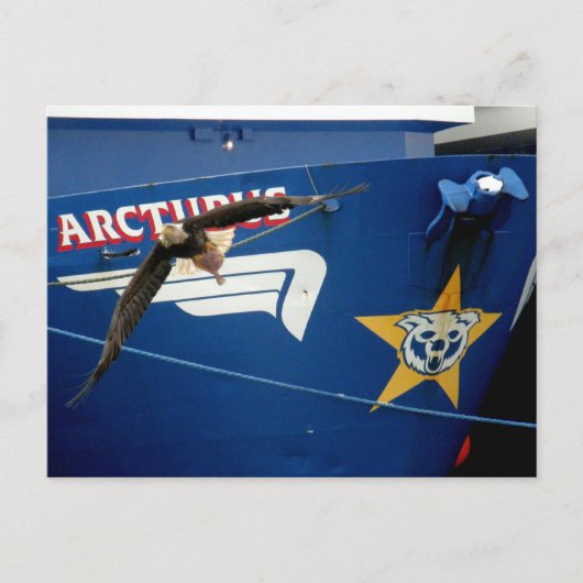 Bald Eagle vliegt voorbij het F/V-noordpoolgebied Briefkaart (Voorkant)