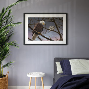 Bald Eagle Volle Maan Majestic Eagles Poster