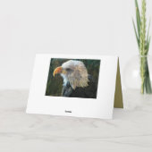 Bald Eagle vous pense carte (Dos)