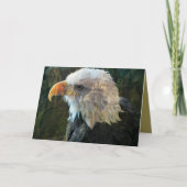 Bald Eagle vous pense carte (Devant)