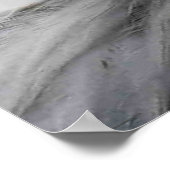 Bald Eagle wapcna Poster (Hoek)