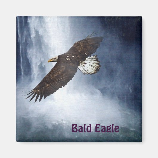 Bald Eagle & Waterfall Wildlife Natuur Magnet Magneet (Voorkant)