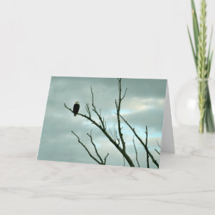 Bald eagle wenskaart kaart