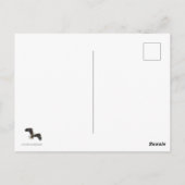 Bald Eagle Wing Drop Briefkaart (Achterkant)