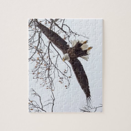 Bald Eagle Wingspread Legpuzzel (Verticaal)
