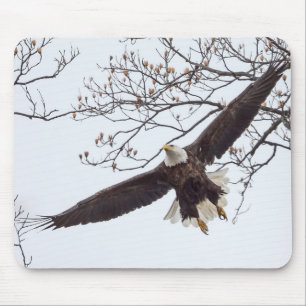 Bald Eagle Wingspread Muismat