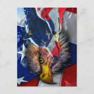Bald Eagle Wolf American Flag Briefkaart