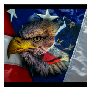 Bald Eagle Wolf American Flag Perfect Poster