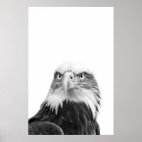 Bald Eagle Woodland Modern Portret zwart wit