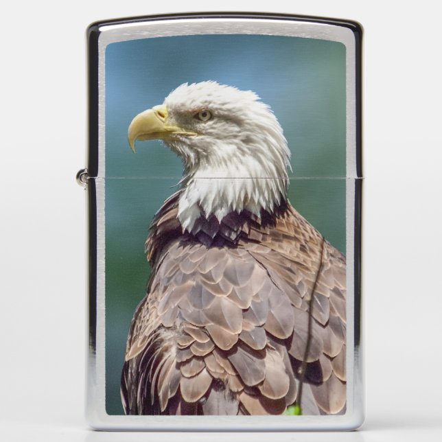 Bald Eagle Zippo Lighter (Voorkant)
