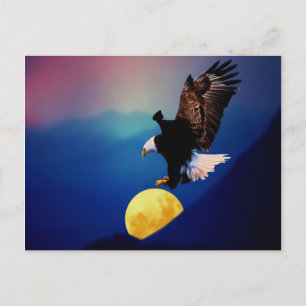 Bald Eagle zoekt de volle maan Briefkaart