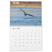 Bald Eagles 2026 Kalender (Mar 2026)