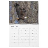 Bald Eagles 2026 Kalender (Mar 2027)