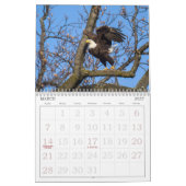 Bald Eagles du calendrier de la vallée de l'Hudson (Mar 2027)