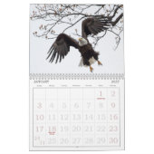 Bald Eagles du calendrier de la vallée de l'Hudson (Jan 2027)