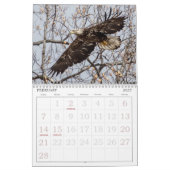 Bald Eagles du calendrier de la vallée de l'Hudson (Feb 2027)