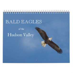 Bald Eagles du calendrier de la vallée de l'Hudson