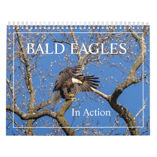 Bald Eagles in actie kalender (Hoes)