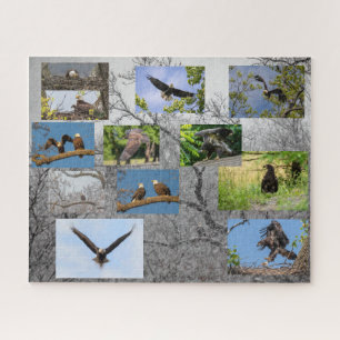 Bald Eagles, jeneverbes omhoog Legpuzzel