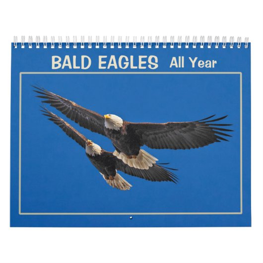 Bald Eagles Kalender (Hoes)