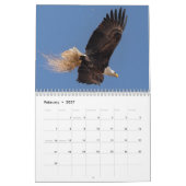 Bald Eagles Kalender (Feb 2027)