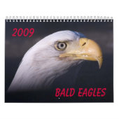 Bald Eagles Kalender (Hoes)