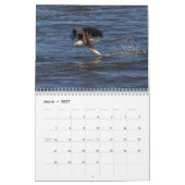 Bald Eagles Kalender (Mar 2027)