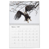 Bald Eagles Kalender (Feb 2027)