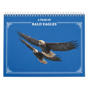 Bald Eagles Kalender