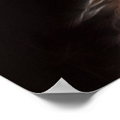 Bald Eagles met poster (Hoek)