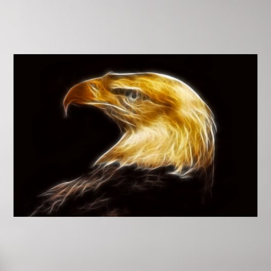 Bald Eagles met poster (Voorkant)
