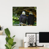 Bald Eagles Poster (Thuiskantoor)