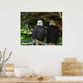 Bald Eagles Poster (Keuken)