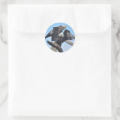 Bald Eagles Ronde Sticker (Tas)