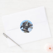 Bald Eagles Ronde Sticker (Envelop)
