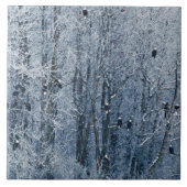 Bald Eagles Tegeltje (Voorkant)