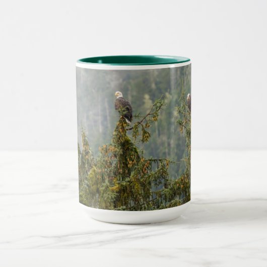 Bald Eagles | Tongass National Forest Alaska Mok (Midden)