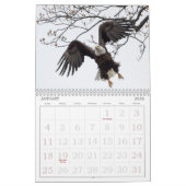 Bald Eagles van de Hudson Valley Calendar Kalender (Jan 2026)