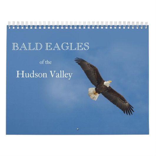Bald Eagles van de Hudson Valley Calendar Kalender (Hoes)