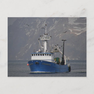 Bald Eagles verwelkomt het startpunt Briefkaart