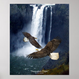 Bald Eagles & Waterfall Wildlife Art Poster