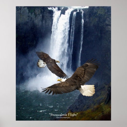 Bald Eagles & Waterfall Wildlife Art Poster (Voorkant)